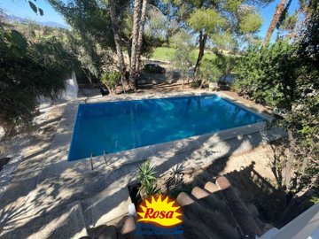 property191572636