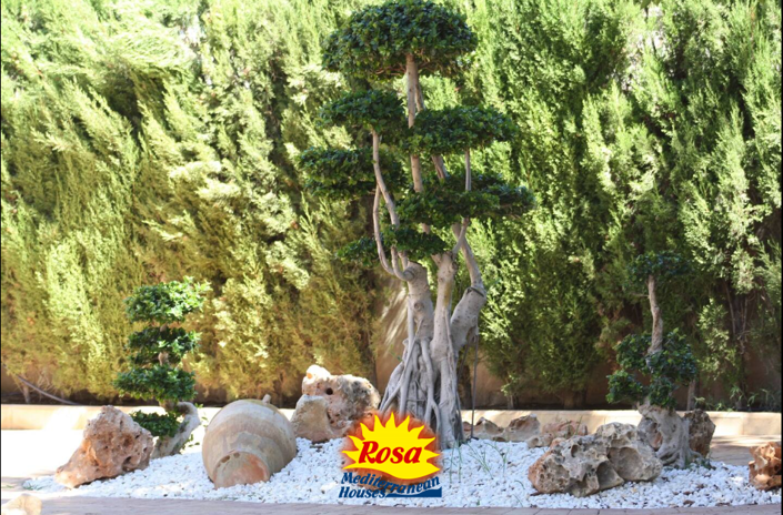 Image No.12-3 Bed Villa for sale