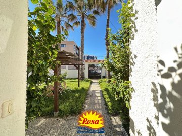 property228782494