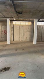 property229681863