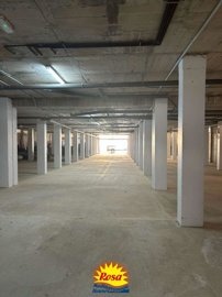 property229681332