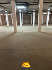 property229681200