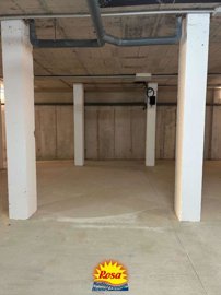 property229681815