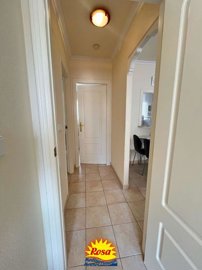 property233306323