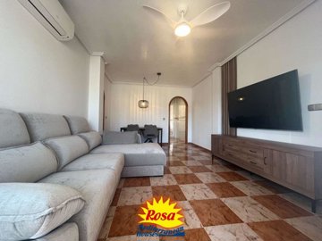 property233028646