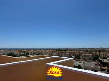 property233677800