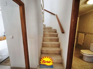 property234159553