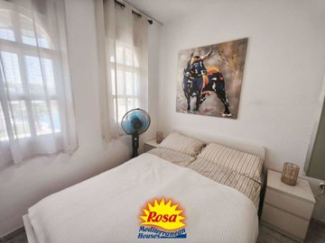 property233978394