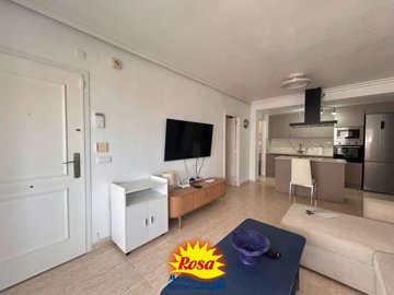 property234361667