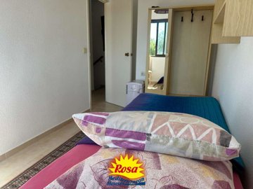 property234497884