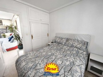 property234732758