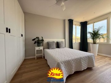 property234771987