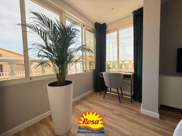 property234771997