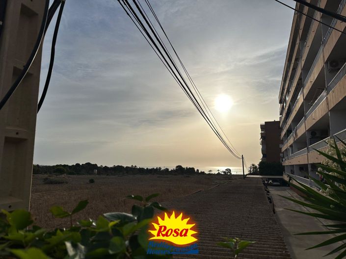 Image No.13-Appartement de 1 chambre à vendre à Torrevieja