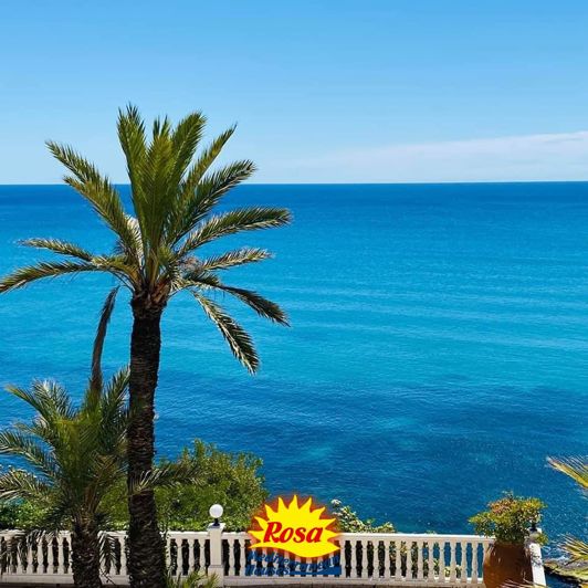 Image No.15-Appartement de 1 chambre à vendre à Torrevieja