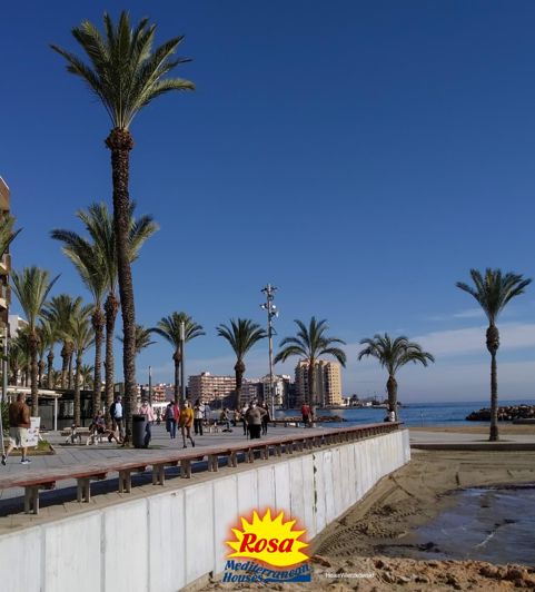 Image No.17-Appartement de 1 chambre à vendre à Torrevieja