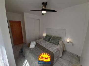 property244755568
