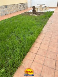 property246483596