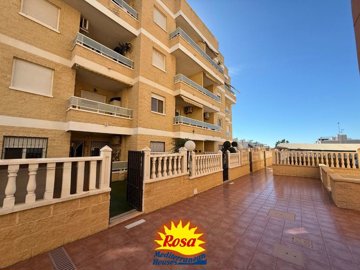 property246609103