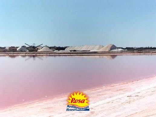 Image No.26-Bungalow de 4 chambres à vendre à Torrevieja