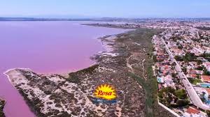 Image No.18-Bungalow for sale