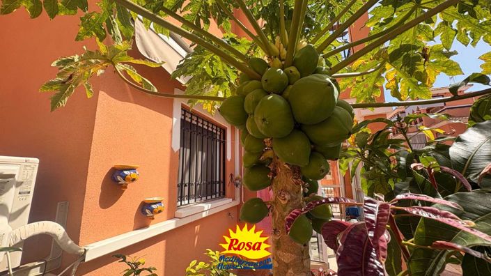 Image No.22-Appartement de 2 chambres à vendre à Orihuela Costa