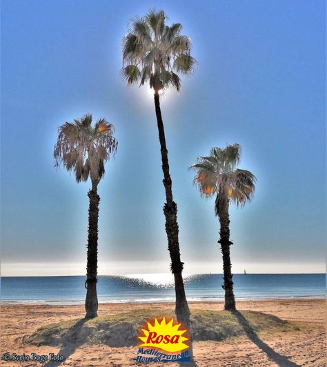 Image No.36-2 Bed Villa for sale