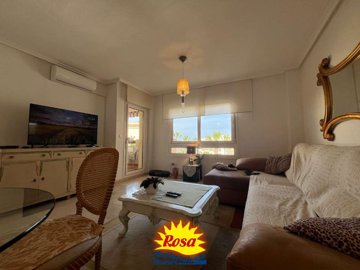 property270883646