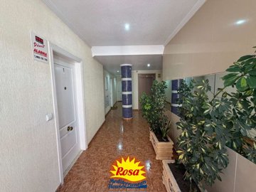 property272525563