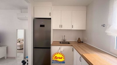 property272540411