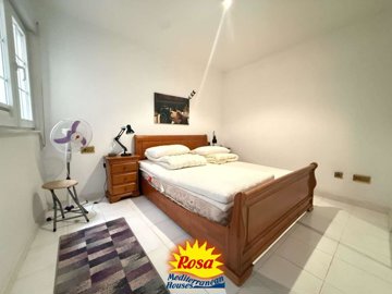 property272515794