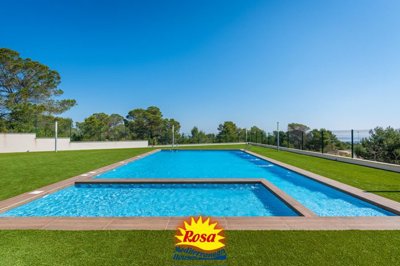 property279585968