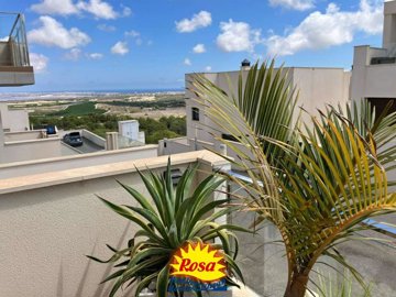 property279585430