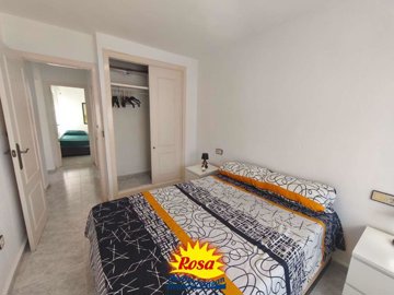 property279431569
