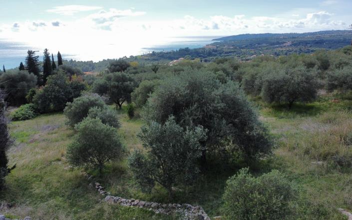 Image No.3-3 Bed Land for sale