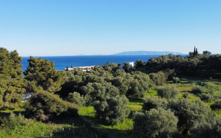 Image No.11-Terrain à vendre à Pesada