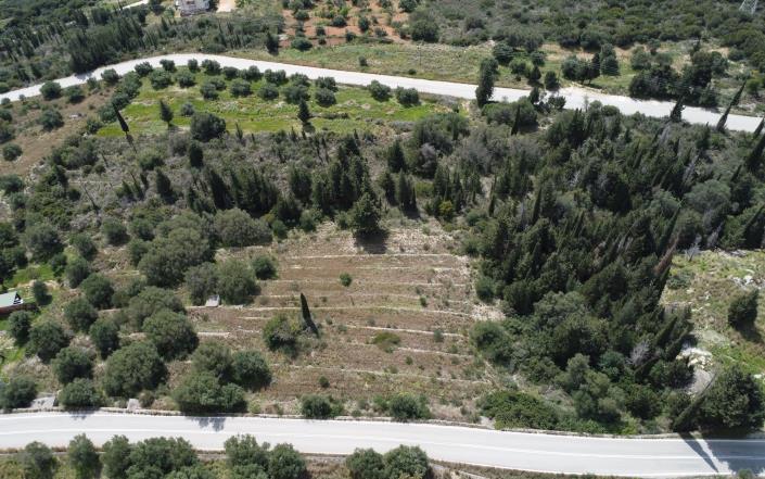 Image No.3-Plot for sale