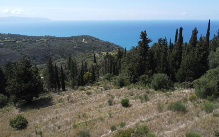 Image No.12-Plot for sale