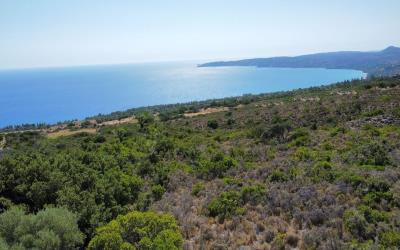 Livathos-Exclusive-Panoramic-Plot-1