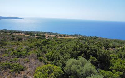 Livathos-Exclusive-Panoramic-Plot-5
