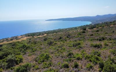 Livathos-Exclusive-Panoramic-Plot-6