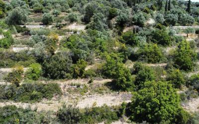 Livathos-Exclusive-Panoramic-Plot-8