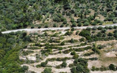 Livathos-Exclusive-Panoramic-Plot-7