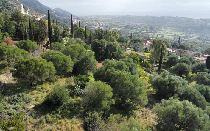 Image No.2-Terrain à vendre à Atsoupades