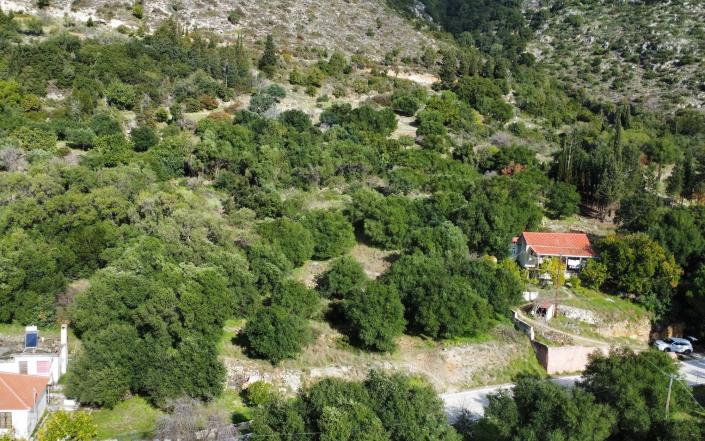 Image No.9-Terrain à vendre à Atsoupades