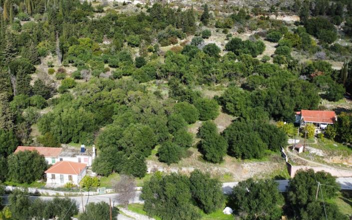 Image No.8-Terrain à vendre à Atsoupades