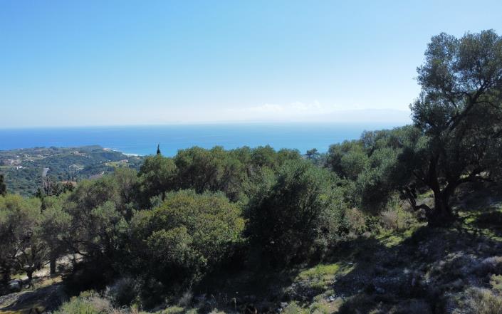 Image No.2-Terrain à vendre à Ratzakli