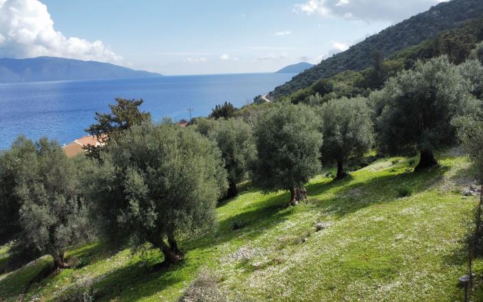 Image No.3-Plot for sale