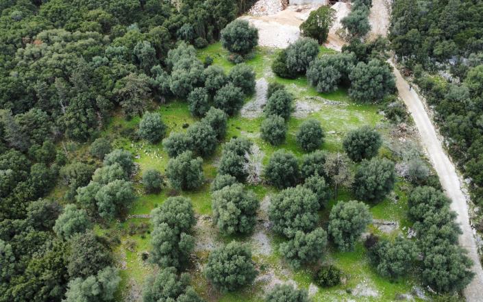 Image No.8-Plot for sale