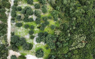Agia-Efimia-Exquisite-Plot-For-Sale-11